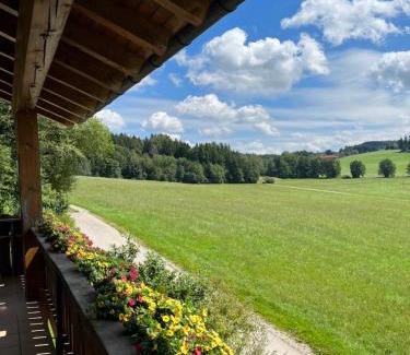 Friesenried Apartment | Ferienwohnung Löwenzahn