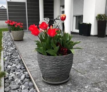Bermatingen Apartment | Ferienwohnung Lis