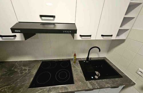 Lottstetten Apartment | Ferienwohnung Lottstetten