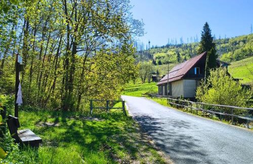 Osterode am Harz Apartment | Ferienwohnung Mühlenteich by Hoheisel - Wanderurlaub im Harz