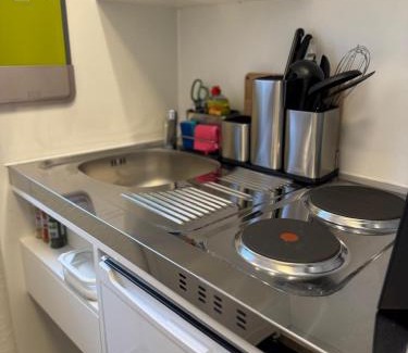 Merl Apartment | Ferienwohnung Moselblick Zell - Balkon und Gemeinschaftsterrasse