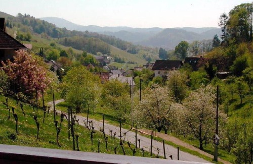 Oberkirch Apartment | Ferienwohnung mit ca. 70qm, 2 Schlafzimmer für maximal 4 Personen