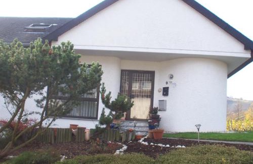 Niederemmel Apartment | Ferienwohnung mit Moselblick