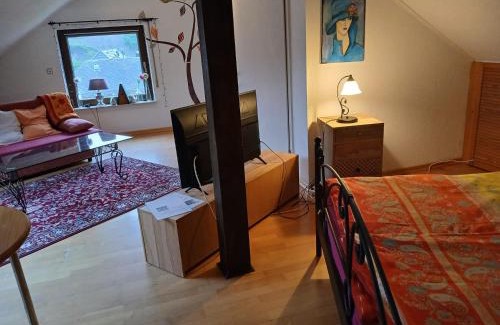 Niederemmel Apartment | Ferienwohnung mit Moselblick