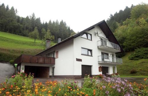 Bad Peterstal-Griesbach Apartment | Ferienwohnung mit Weinbergblick