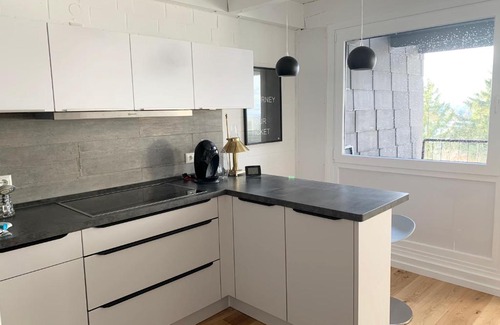 Hohegeiß Apartment | Ferienwohnung Mountainlook