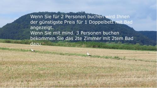Godelheim Apartment | Ferienwohnung MW 4a bis72 m2 Höxter Weserbergland Weser 1-2P 1SZi mBad 3-4P 2SZi m2Bäder Terrasse Wäsche Endreinigung Self CheckIn