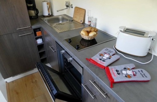 Geyersberg Apartment | Ferienwohnung N 170 mit Balkon