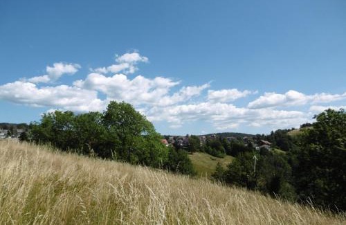Sankt Andreasberg Apartment | Ferienwohnung Panoramablick