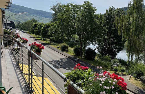 Merl Apartment | Ferienwohnung Panorama im Weingut mit Moselblick