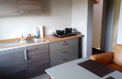 Blaibach Apartment | Ferienwohnung Pullinger Fliegenfischerschule mit Dachterrasse