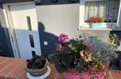 Niederschmalkalden Apartment | Ferienwohnung Rosenweg