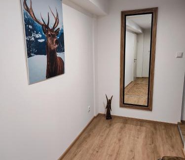 Oberstaufen Apartment | Ferienwohnung RESL - geschmackvoll renoviert & zentral im historischen Schindelhaus