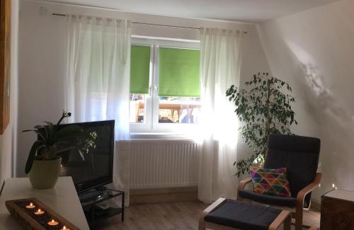 Sebnitz Apartment | Ferienwohnung Richtermühle