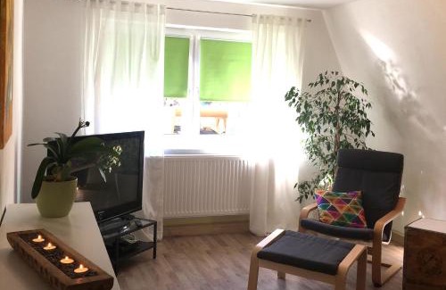 Sebnitz Apartment | Ferienwohnung Richtermühle