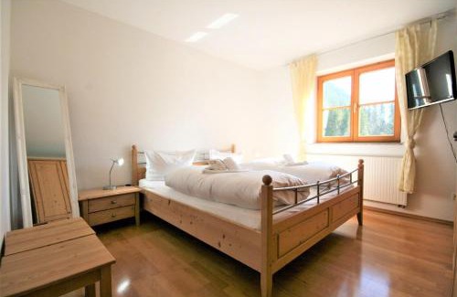 Steinach Apartment | Ferienwohnung Romi