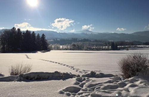 Sulzberg Apartment | Ferienwohnung-Rottachseeblick