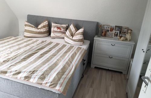 Sohrewald Apartment | Ferienwohnung Söhreblick