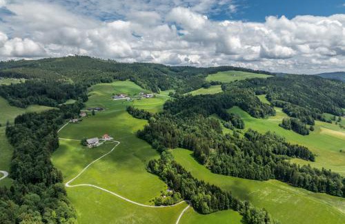 Thalgau Apartment | Ferienwohnung Scheierlweg