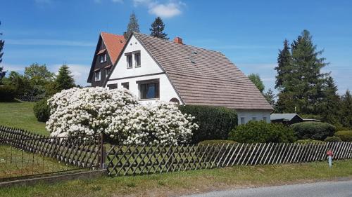 Jonsdorf Apartment | Ferienwohnung Schiller
