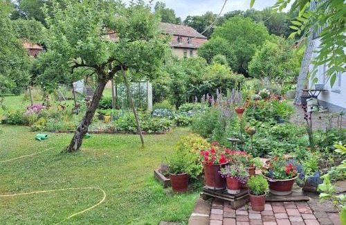 Michelstadt Apartment | Ferienwohnung Schlossstrasse 7