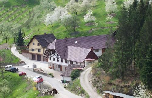Lautenbach Apartment | Ferienwohnung Schneckenhus