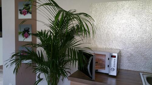 Zauckerode Apartment | Ferienwohnung Schusi Freital