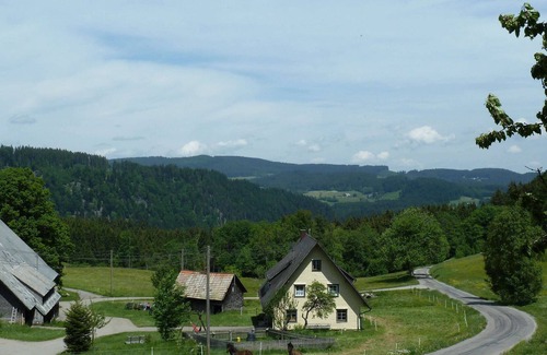 Hinterzarten House | Ferienwohnung Sonne, 35qm, 1 Wohn-/Schlafraum, max. 2 Personen