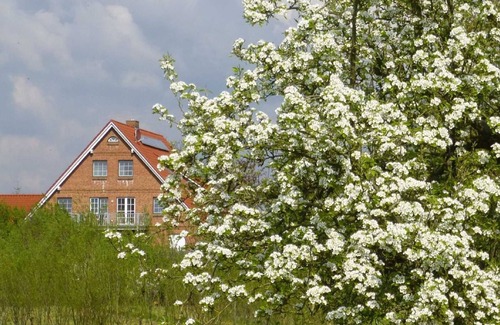 Krautsand Apartment | Ferienwohnung Sonnenbalkon - Sonnenbalkon
