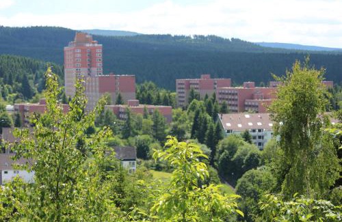 Altenau Apartment | Ferienwohnung Sonnenblick