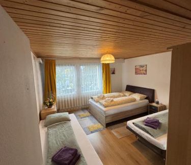 Brienz Apartment | Ferienwohnung Sonnenseite Brienz