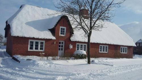 Risum-Lindholm Apartment | Ferienwohnung unter Reet