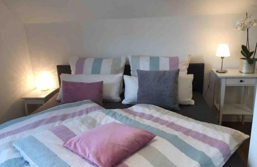 Ochsenfurt Apartment | Ferienwohnung Weinbergsblick optimale Stadtnähe