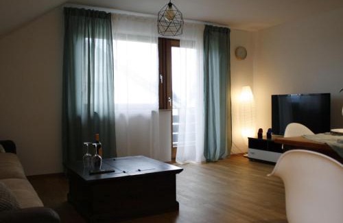 Freiamt Apartment | Ferienwohnung Weitblick