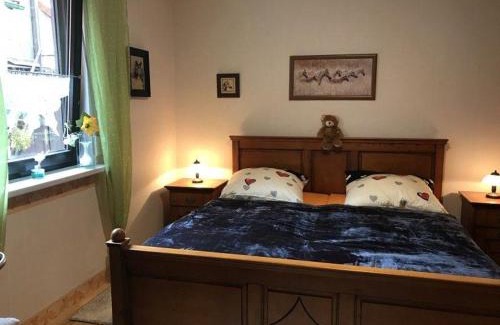 Ilsenburg Apartment | Ferienwohnung-Willgeroth