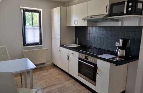 Prohlis Apartment | Ferienwohnung Windmühlensiedlung