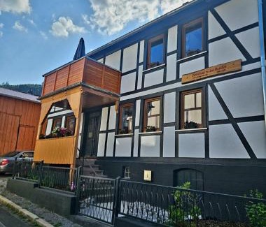 Ilsenburg Apartment | Ferienwohnung zu den Ilsefällen I