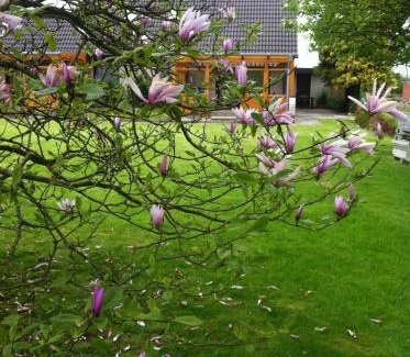 Stinteck Apartment | Ferienwohnungen Kastenmüller