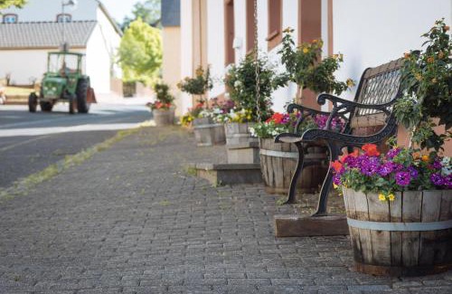 Pelm Apartment | Ferienwohnungen Maijeschhof