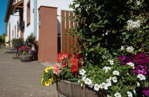 Pelm Apartment | Ferienwohnungen Maijeschhof