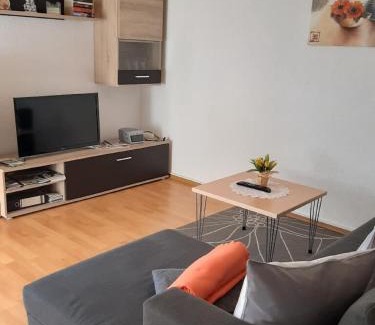 Blaibach Apartment | Ferienwohnungen Malz
