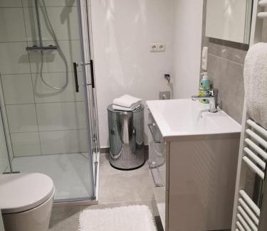 City Centre Regensburg Apartment | Ferienwohnungen Ostengasse 22