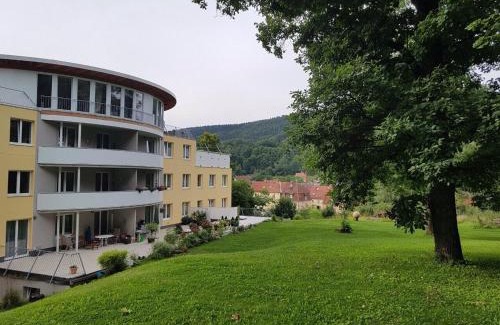 Zella-Mehlis Apartment | Ferienwohnungen Thüringer Wald