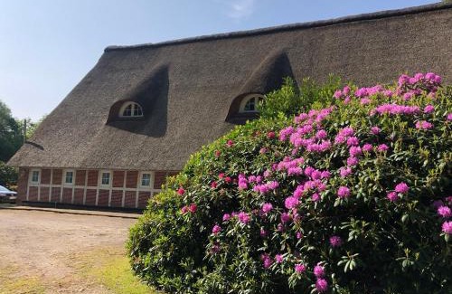 Wiepenkathen Apartment | Ferienwohnungen Unter den Eichen