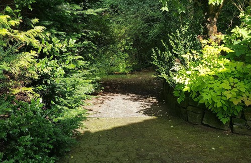 Wildemann Apartment | Ferienwohnungen Waldblick, Wohnung 2