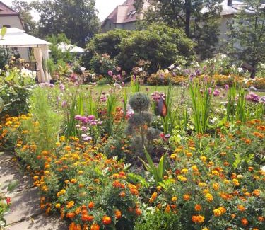 Bad Schandau Apartment | Ferienwohnungen Wilhelm