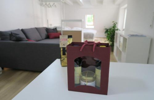 Altstadt Apartment | Ferienwohnungen zu St. Johann