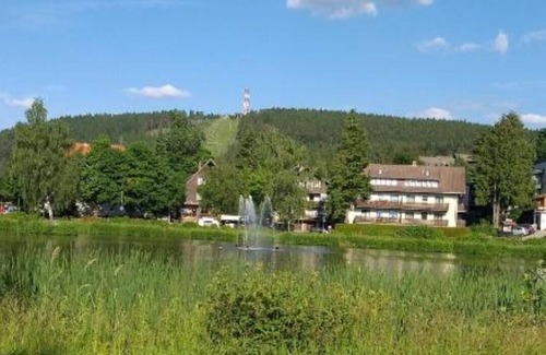 Hahnenklee Apartment | Ferienwohung "aussicht" ,43qm - mit Großem Süd-balkon, Zentral Aber Ruhig