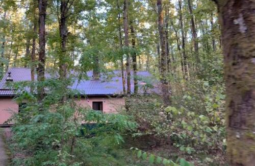 Fersig Cabin | Ferscape