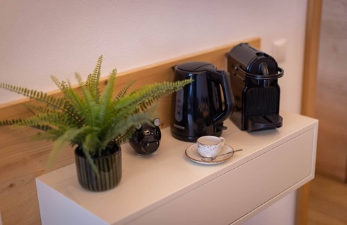 Furth Apartment | FESH LIVING 5 - smart luxury apartment with sauna area near Zell am See/Kaprun